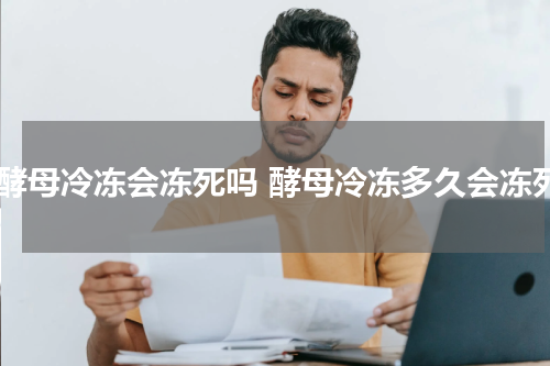 干酵母冷冻会冻死吗 酵母冷冻多久会冻死
