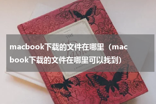 macbook下载的文件在哪里（macbook下载的文件在哪里可以找到）