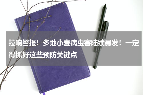 拉响警报！多地小麦病虫害陆续暴发！一定得抓好这些预防关键点