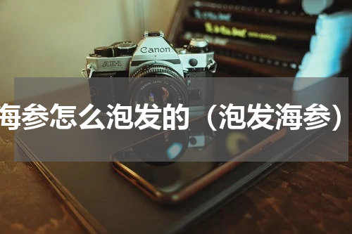 海参怎么泡发的（泡发海参）