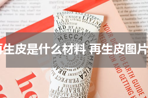 再生皮是什么材料 再生皮图片