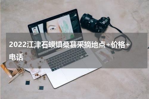 2022江津石蟆镇桑葚采摘地点+价格+电话