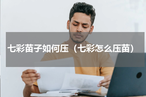 七彩苗子如何压（七彩怎么压苗）