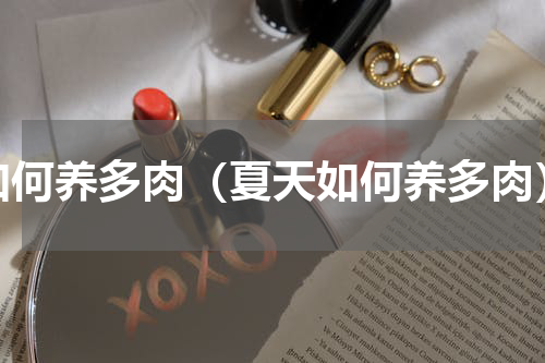 如何养多肉（夏天如何养多肉）