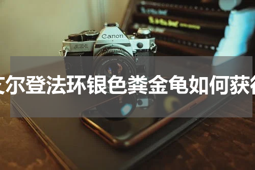 艾尔登法环银色粪金龟如何获得