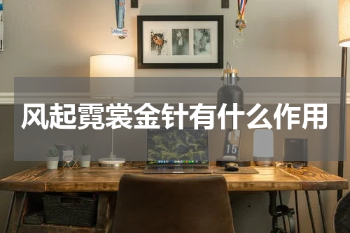 风起霓裳金针有什么作用