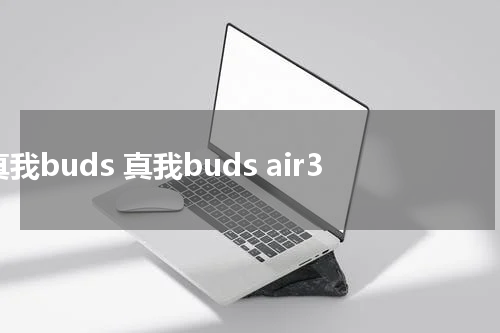 真我buds 真我buds air3