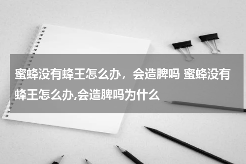蜜蜂没有蜂王怎么办，会造脾吗 蜜蜂没有蜂王怎么办,会造脾吗为什么