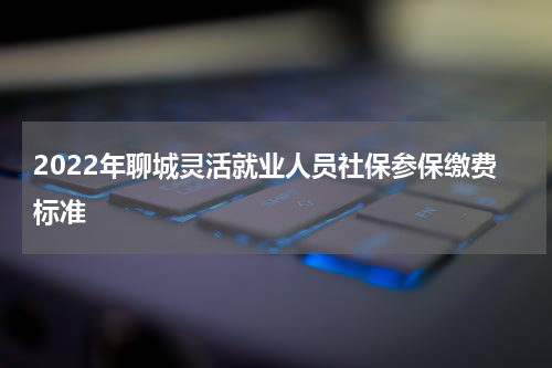2022年聊城灵活就业人员社保参保缴费标准