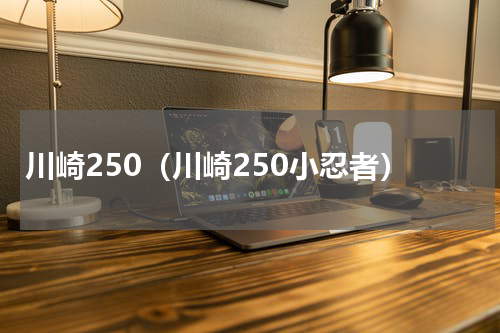 川崎250（川崎250小忍者）