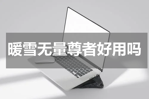 暖雪无量尊者好用吗