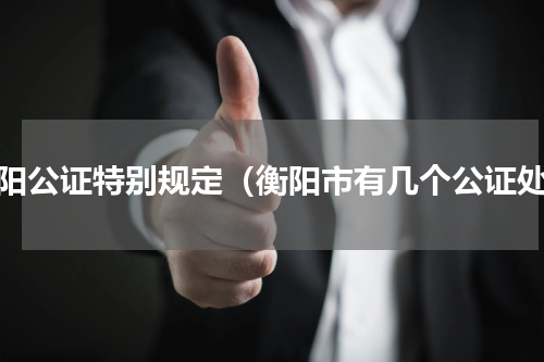 衡阳公证特别规定（衡阳市有几个公证处）