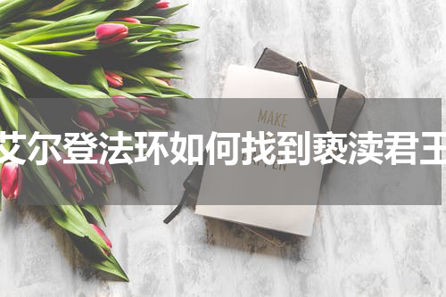 艾尔登法环如何找到亵渎君王