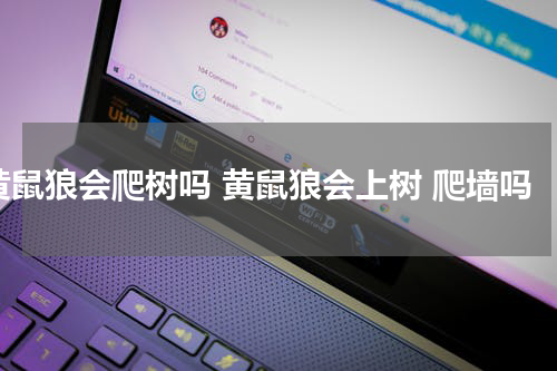 黄鼠狼会爬树吗 黄鼠狼会上树 爬墙吗