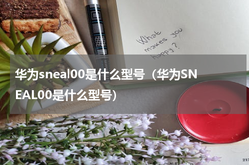 华为sneal00是什么型号（华为SNEAL00是什么型号）
