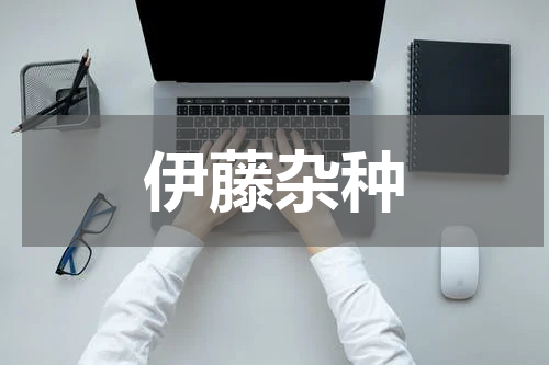 伊藤杂种