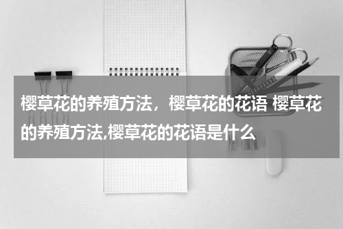 樱草花的养殖方法，樱草花的花语 樱草花的养殖方法,樱草花的花语是什么