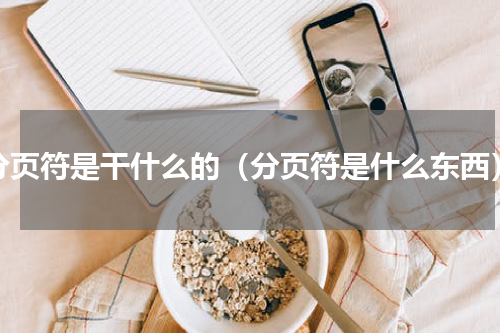 分页符是干什么的（分页符是什么东西）