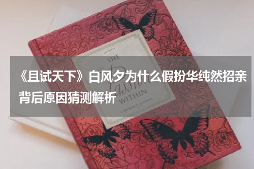 《且试天下》白风夕为什么假扮华纯然招亲 背后原因猜测解析