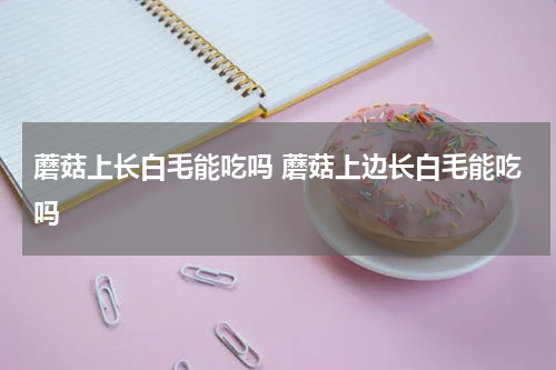 蘑菇上长白毛能吃吗 蘑菇上边长白毛能吃吗