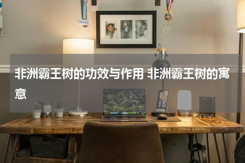 非洲霸王树的功效与作用 非洲霸王树的寓意