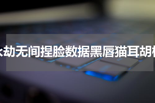 永劫无间捏脸数据黑唇猫耳胡桃
