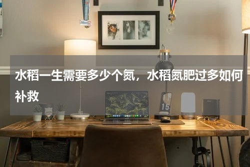 水稻一生需要多少个氮，水稻氮肥过多如何补救