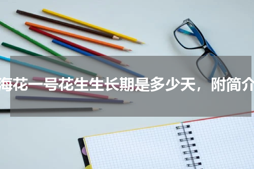 海花一号花生生长期是多少天，附简介