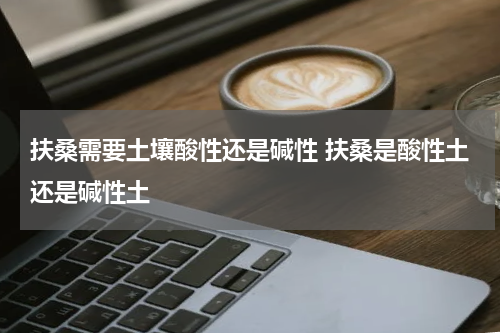 扶桑需要土壤酸性还是碱性 扶桑是酸性土还是碱性土