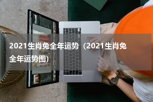 2021生肖兔全年运势（2021生肖兔全年运势图）