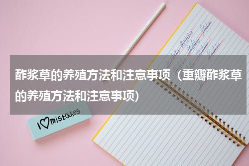 酢浆草的养殖方法和注意事项（重瓣酢浆草的养殖方法和注意事项）