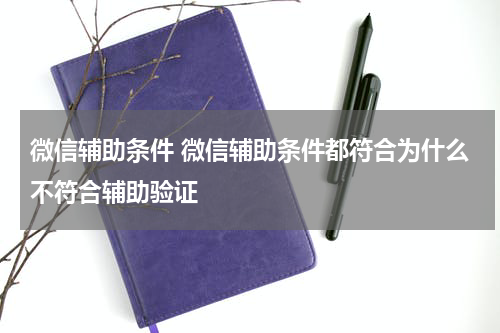 微信辅助条件 微信辅助条件都符合为什么不符合辅助验证