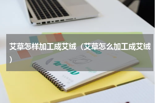 艾草怎样加工成艾绒（艾草怎么加工成艾绒）