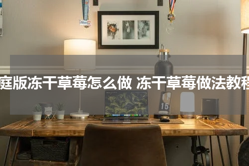 家庭版冻干草莓怎么做 冻干草莓做法教程