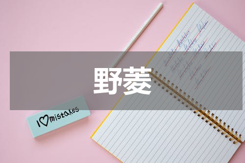 野菱