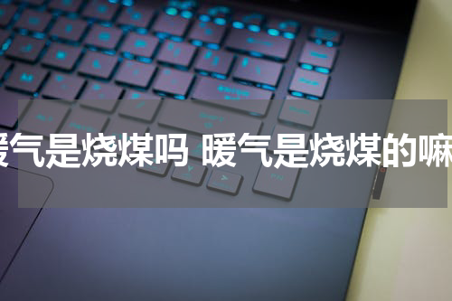 暖气是烧煤吗 暖气是烧煤的嘛