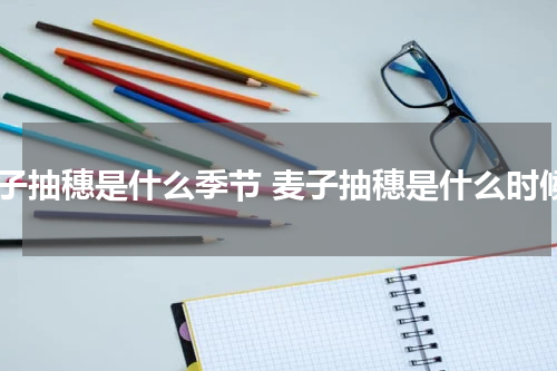 麦子抽穗是什么季节 麦子抽穗是什么时候