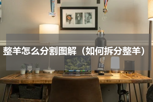 整羊怎么分割图解（如何拆分整羊）