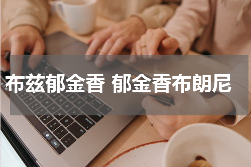 布兹郁金香 郁金香布朗尼