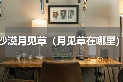 沙漠月见草（月见草在哪里）