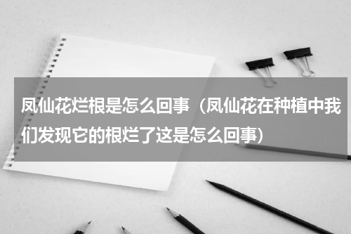凤仙花烂根是怎么回事（凤仙花在种植中我们发现它的根烂了这是怎么回事）