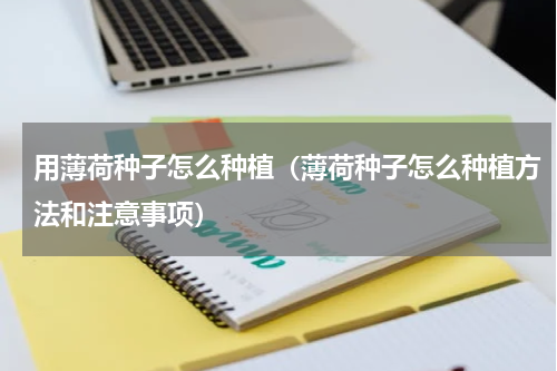 用薄荷种子怎么种植（薄荷种子怎么种植方法和注意事项）