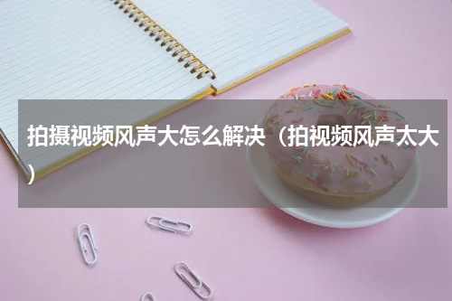 拍摄视频风声大怎么解决（拍视频风声太大）