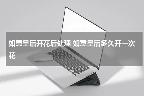 如意皇后开花后处理 如意皇后多久开一次花