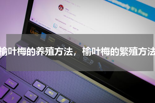 榆叶梅的养殖方法，榆叶梅的繁殖方法
