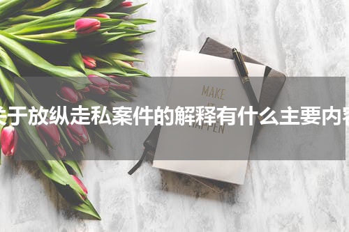 关于放纵走私案件的解释有什么主要内容