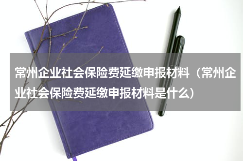 常州企业社会保险费延缴申报材料（常州企业社会保险费延缴申报材料是什么）