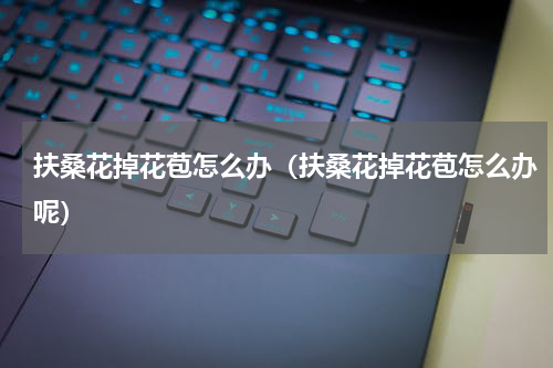 扶桑花掉花苞怎么办（扶桑花掉花苞怎么办呢）