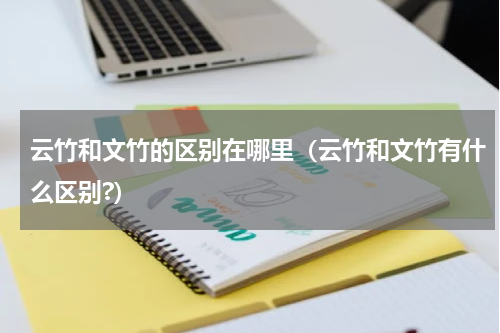 云竹和文竹的区别在哪里（云竹和文竹有什么区别?）
