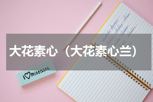 大花素心（大花素心兰）